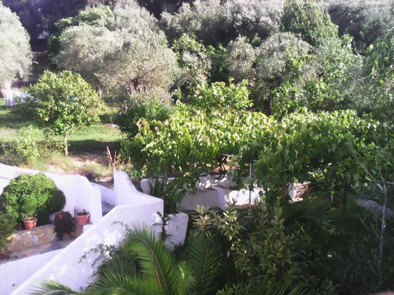 Dina'S Rooms Mesongi Exterior photo