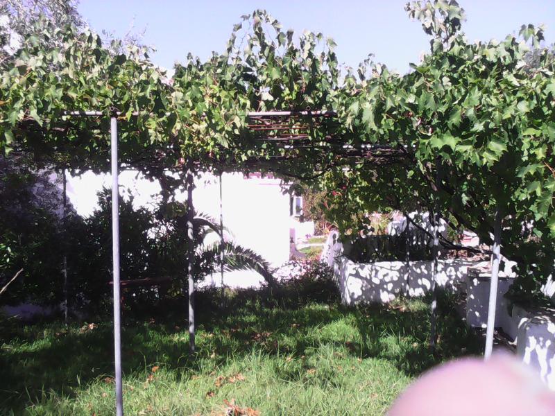 Dina'S Rooms Mesongi Exterior photo